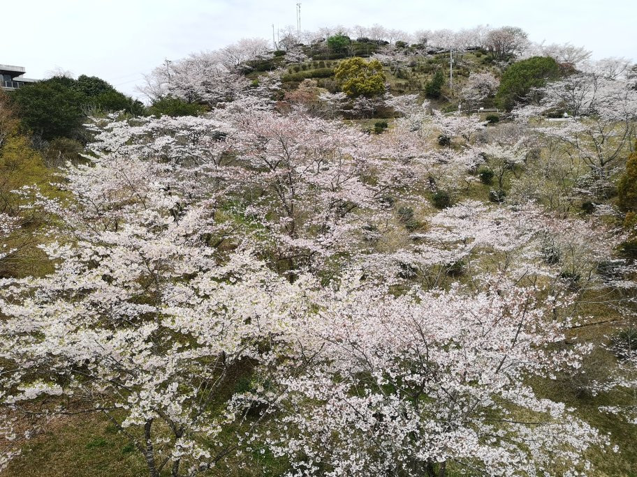 Maruoka Park景点图片