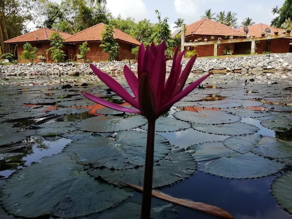 Suri Retreat Villa主图