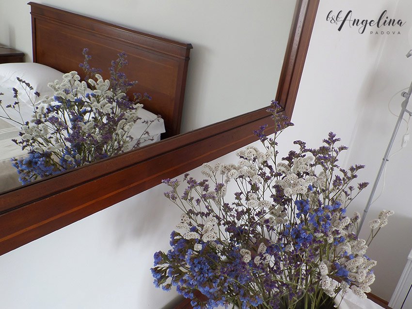 Bed&Breakfast Angelina-官方