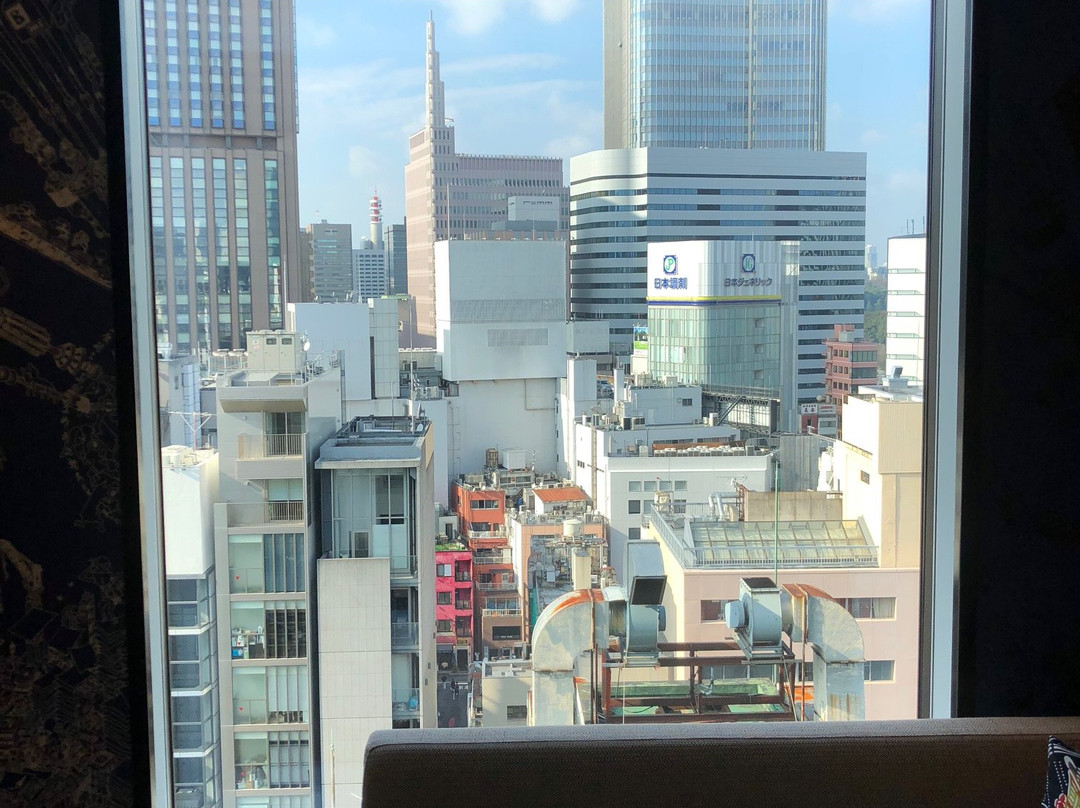 Hyatt Centric Ginza Tokyo主图