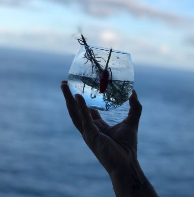 Franscene Bellarine-St Leonards必去景点