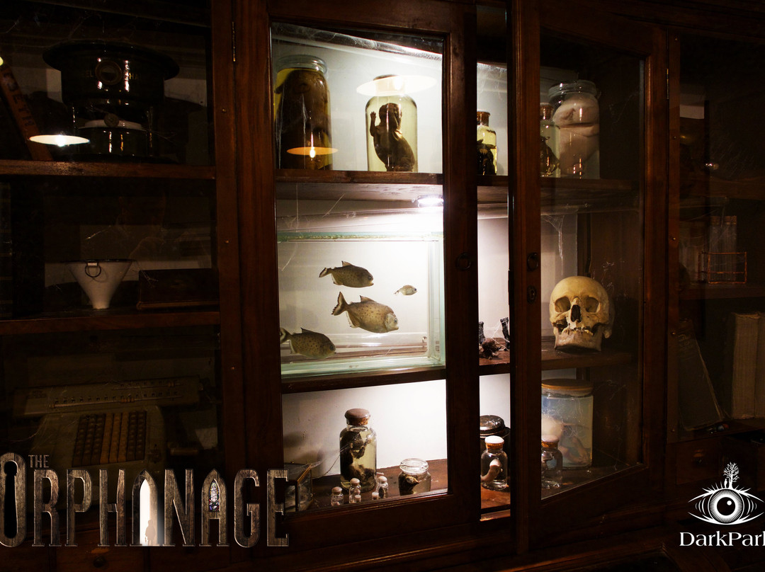 DarkPark-Zoetermeer必去景点