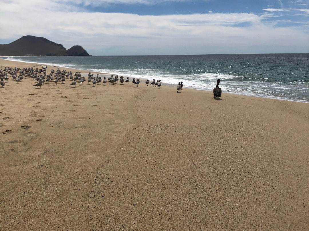 Playa La Cachora-托多斯桑托斯必去景点