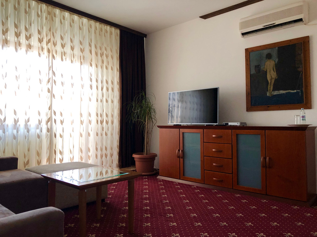 Villa Vodno主图