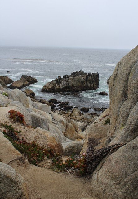 Pescadero Point-圆石滩必去景点