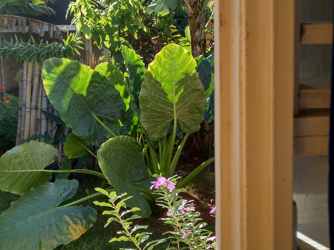 Le BDM PLAYITA HOTEL主图