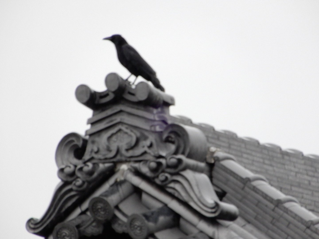 Konda Hachiman Shrine-羽曳野市必去景点