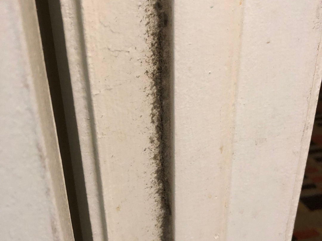 Rodeway Inn Sun City Center主图