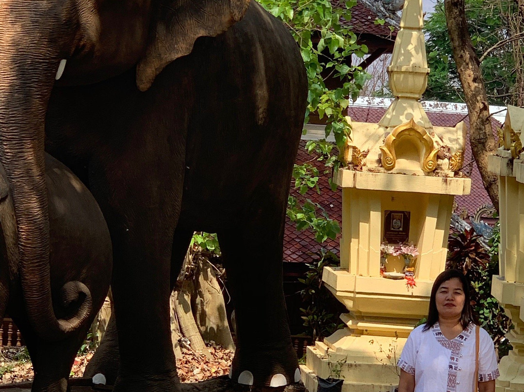 Wat Phra That Su Thon Mongkhon Khiri景点图片