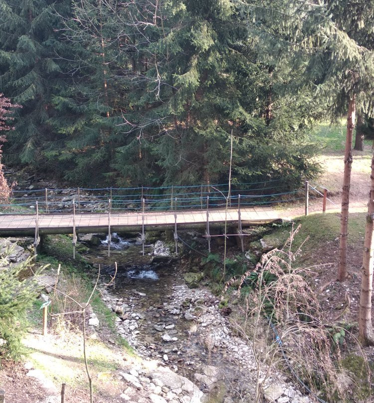 Orto Botanico delle Conifere景点图片