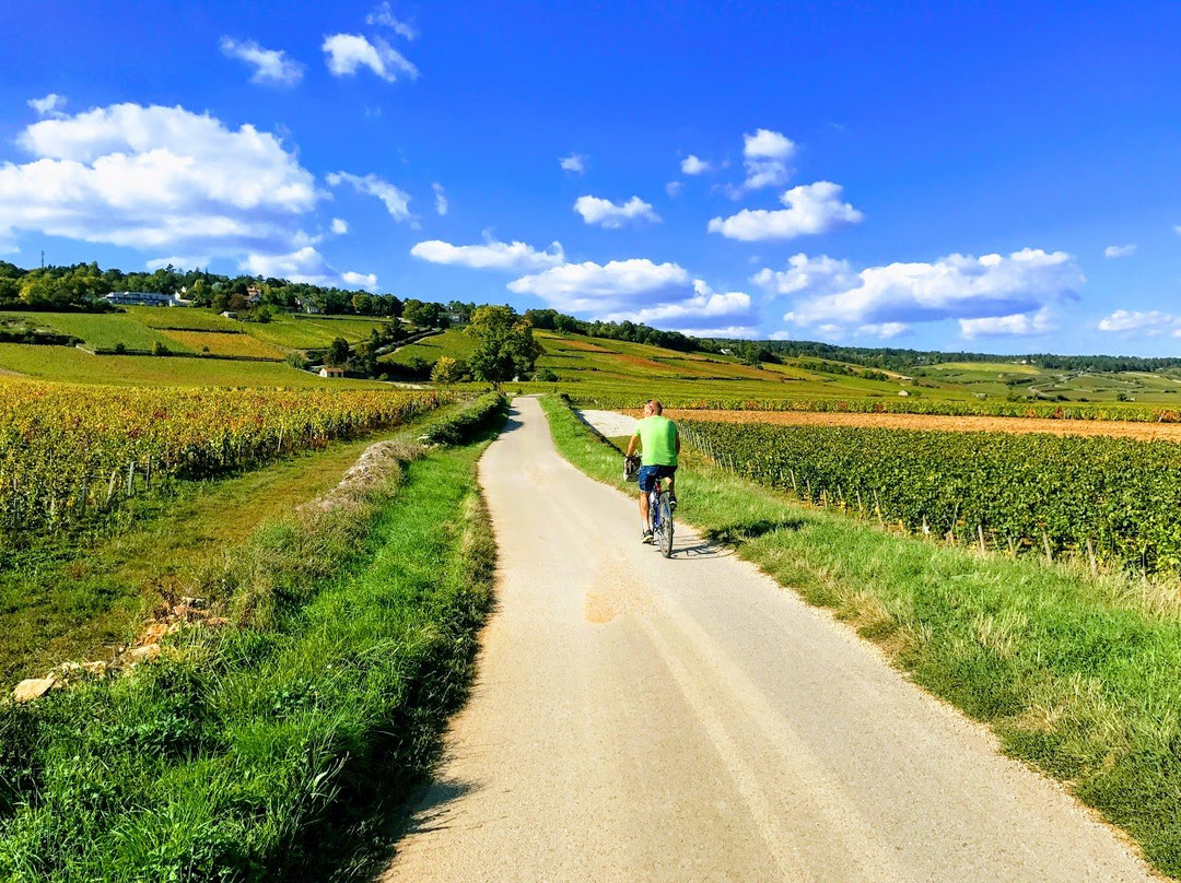 Domaine Pont Juillet主图