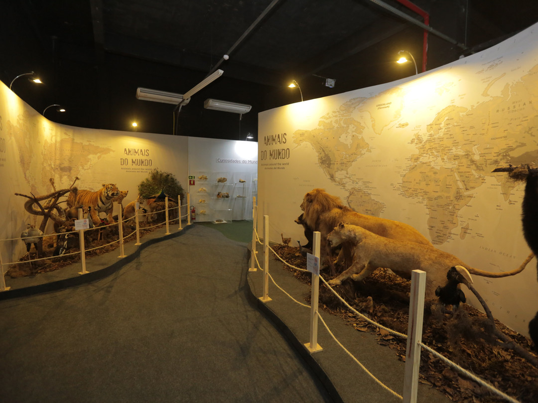 Itaipu Natureza-伊瓜苏必去景点