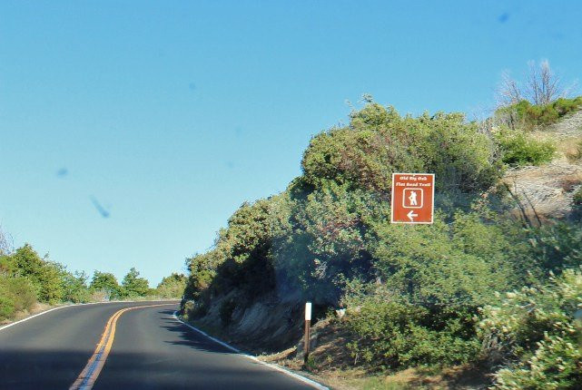 Big Oak Flat Road-格罗夫兰必去景点