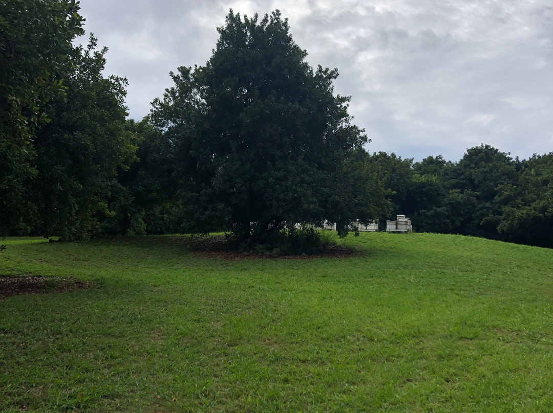 Hawaii Island Resort主图