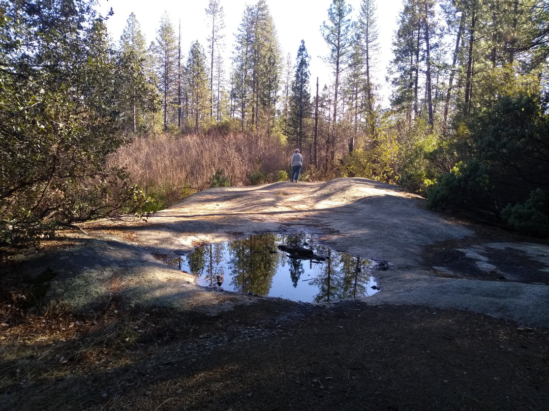 Hirschman's Pond Trail-Nevada City必去景点