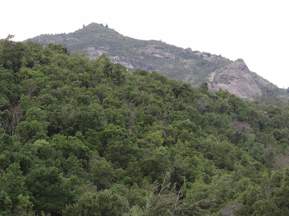 Tumuñan Lodge主图