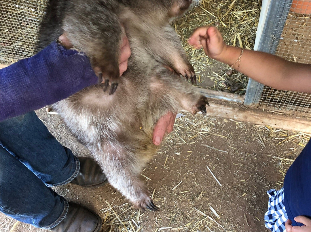 Taralga Wildlife Park-Taralga必去景点
