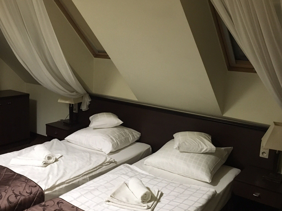 Hotel Pod Filarami主图