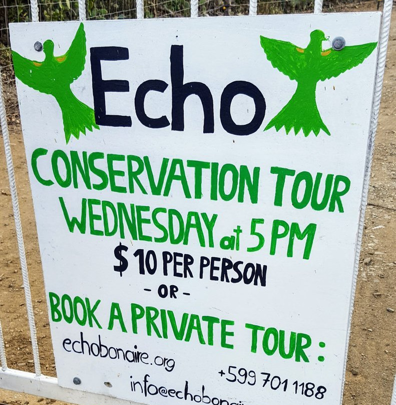 Echo Parrots and People-Rincon必去景点