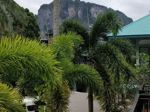 甲米提帕度假酒店主图