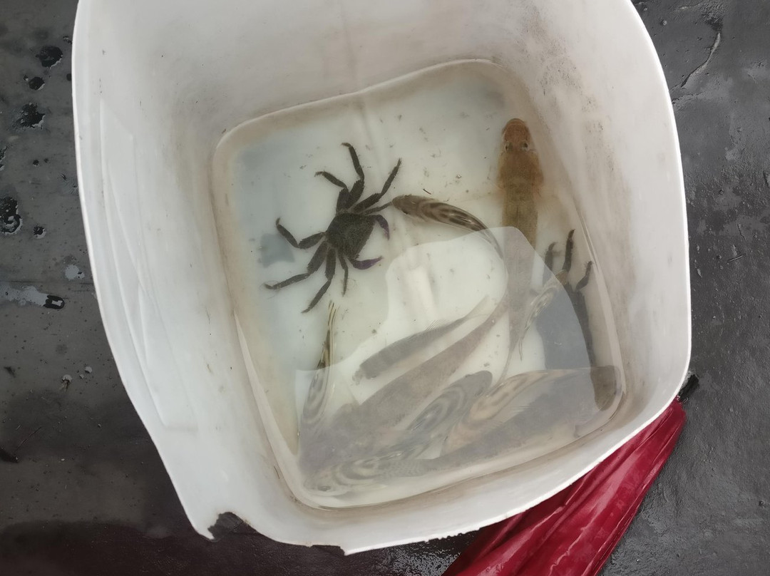 Coconut Fragrance Restaurant & Cooking Class-会安必去景点