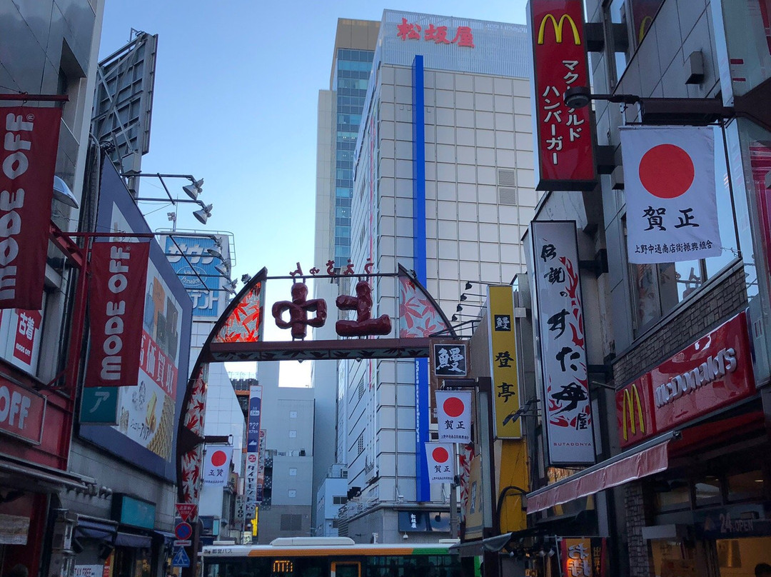 Ueno Nakadori Shotengai-Ueno必去景点