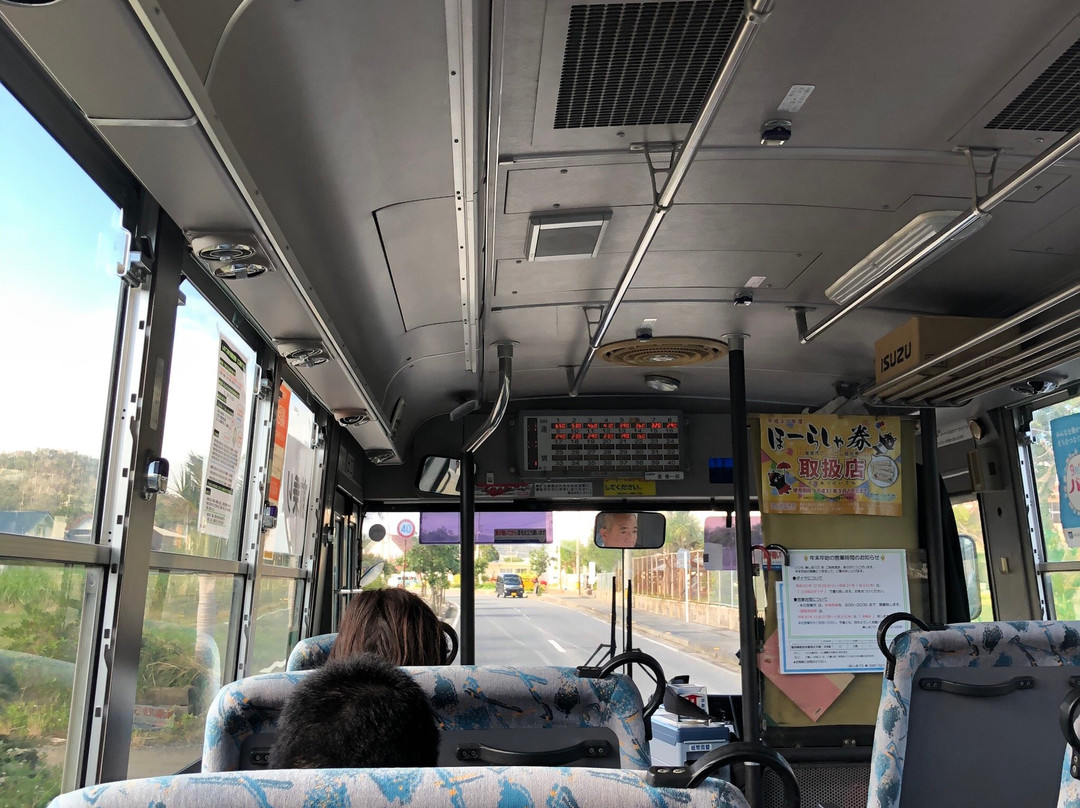 Shima Bus-奄美市必去景点