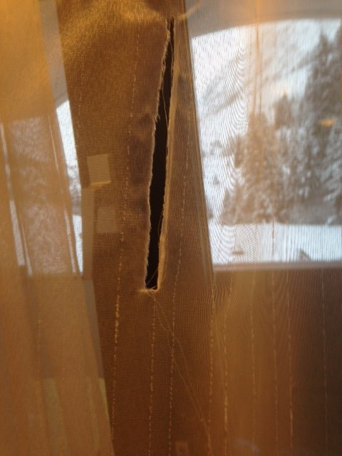 Sport- & Vitalhotel Seppl主图