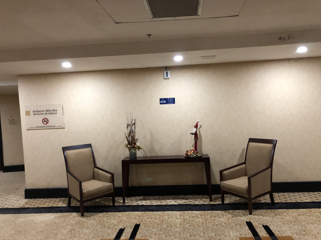 Eurobuilding Hotel & Suites Guayana主图