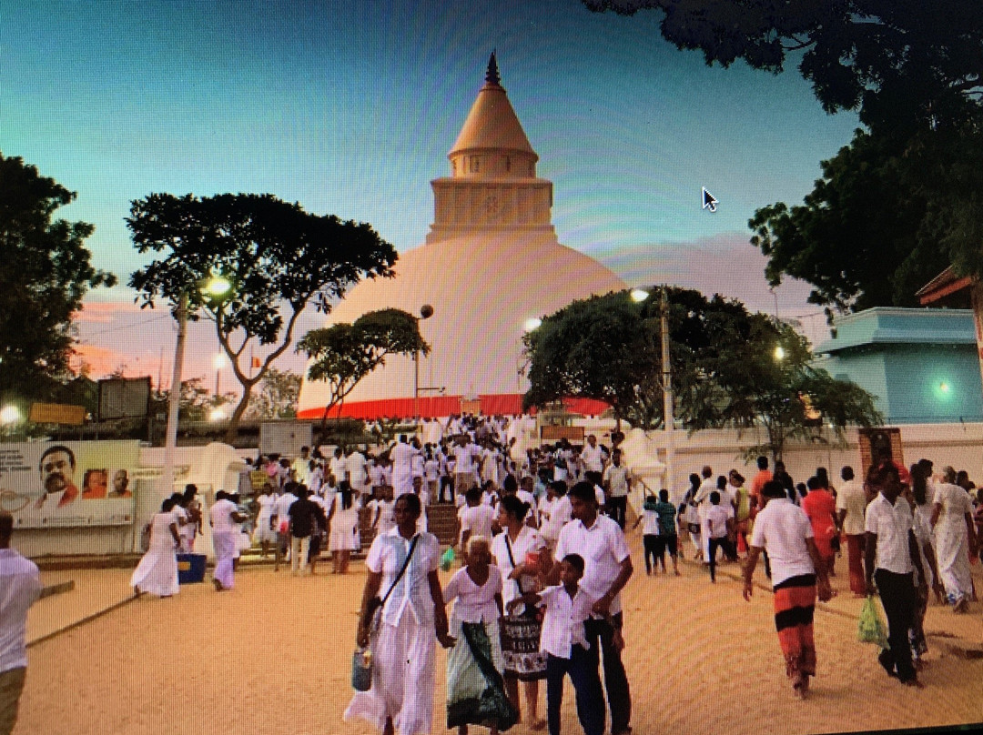Sri Lanka Amal Tours景点图片