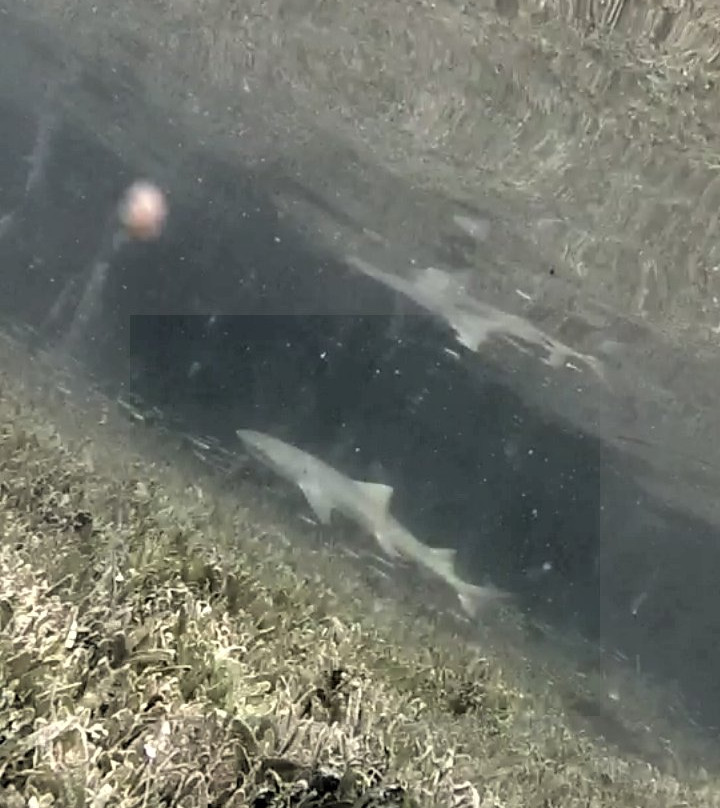 GroundSea Adventures BVI-Road Town必去景点