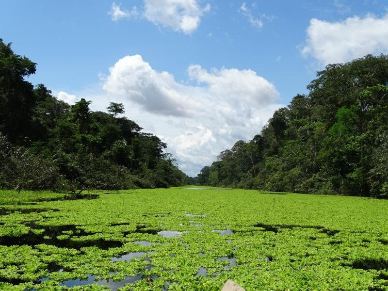 Amazon Wonder Expeditions