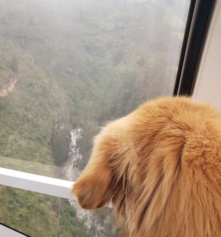 Teleferico de Las Lajas-伊皮亚莱斯必去景点