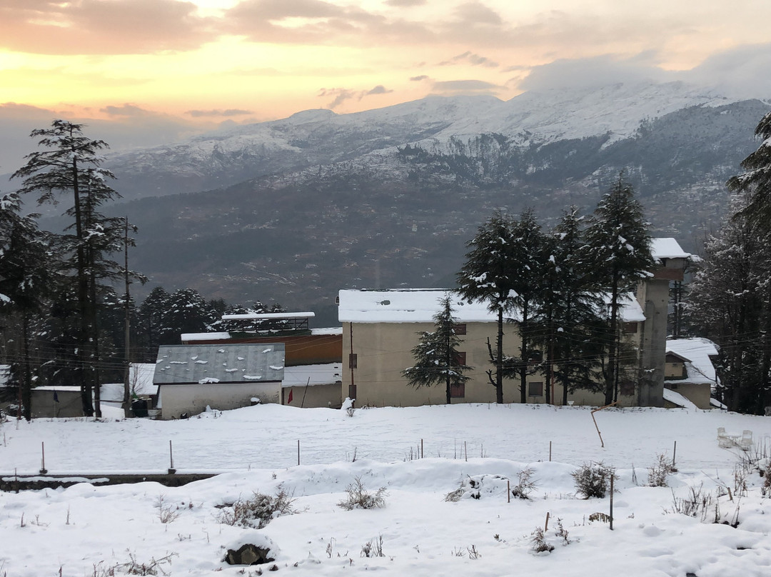 Hotel Trinetra Resorts主图