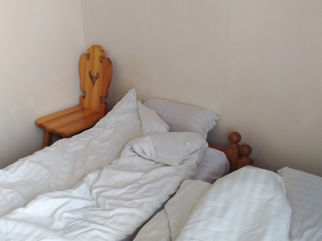 Weronika Inn Zakopane主图