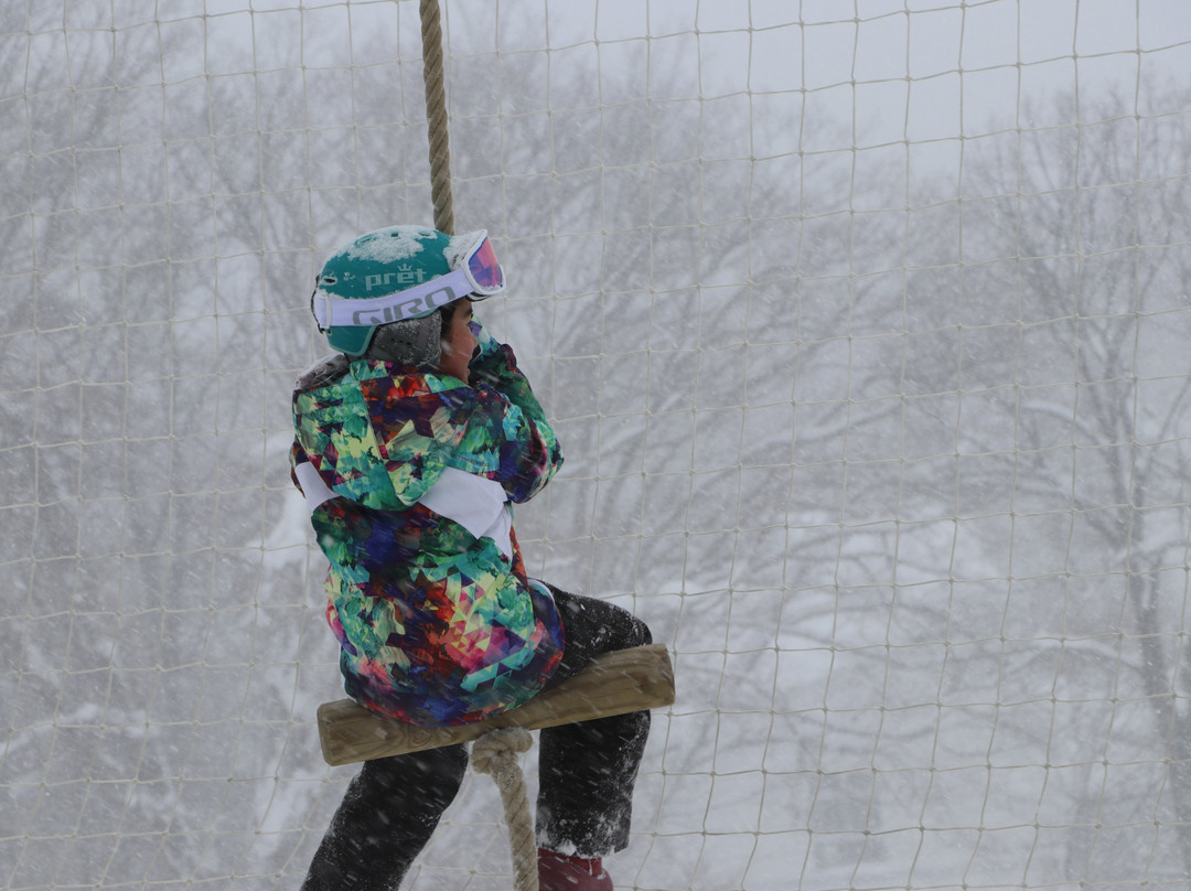 Hakuba Tsugaike Wow!景点图片