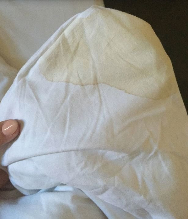 Microtel Inn & Suites by Wyndham Clear Lake主图