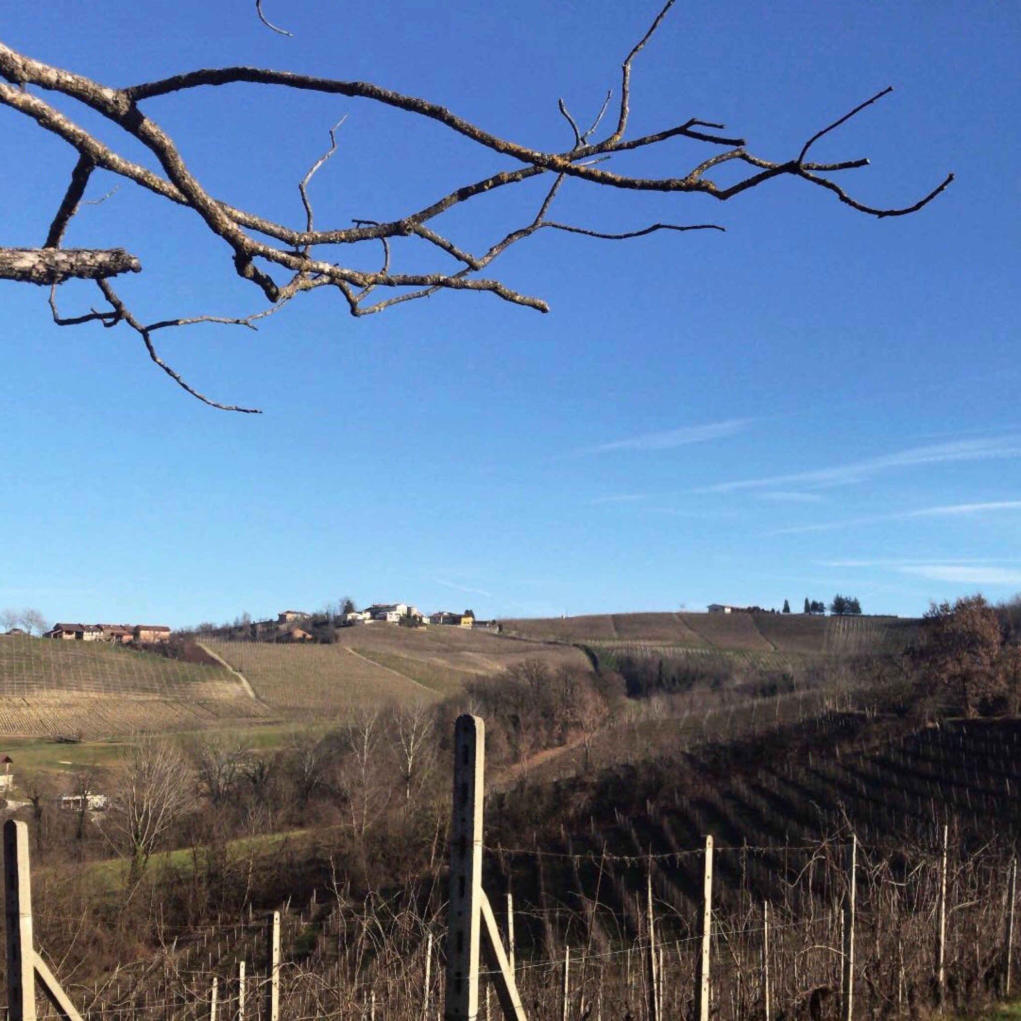 Cascina Torello-官方