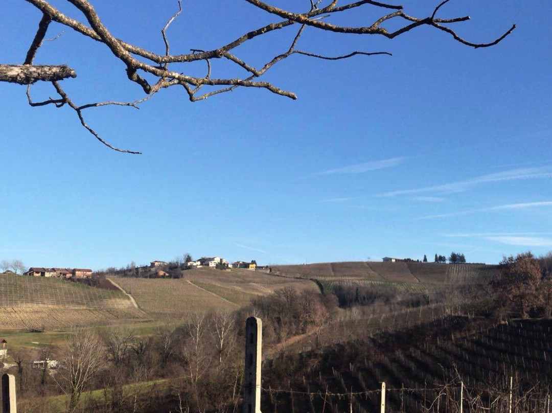 Cascina Torello主图