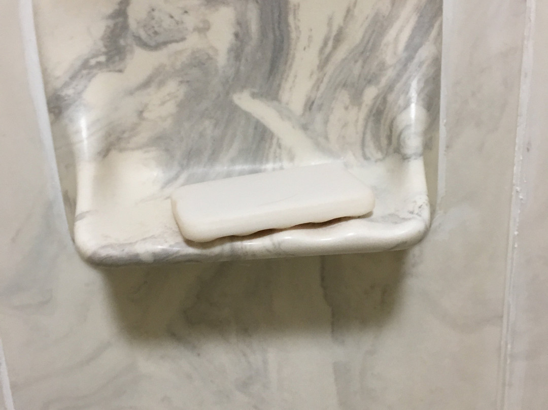 Surestay Plus By Best Western Covington主图