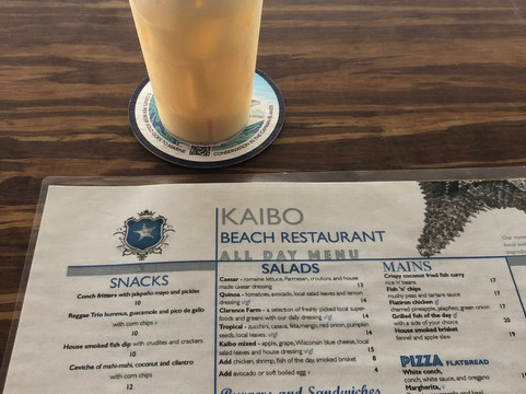 Robert Soto's Watersports-乔治城必去景点