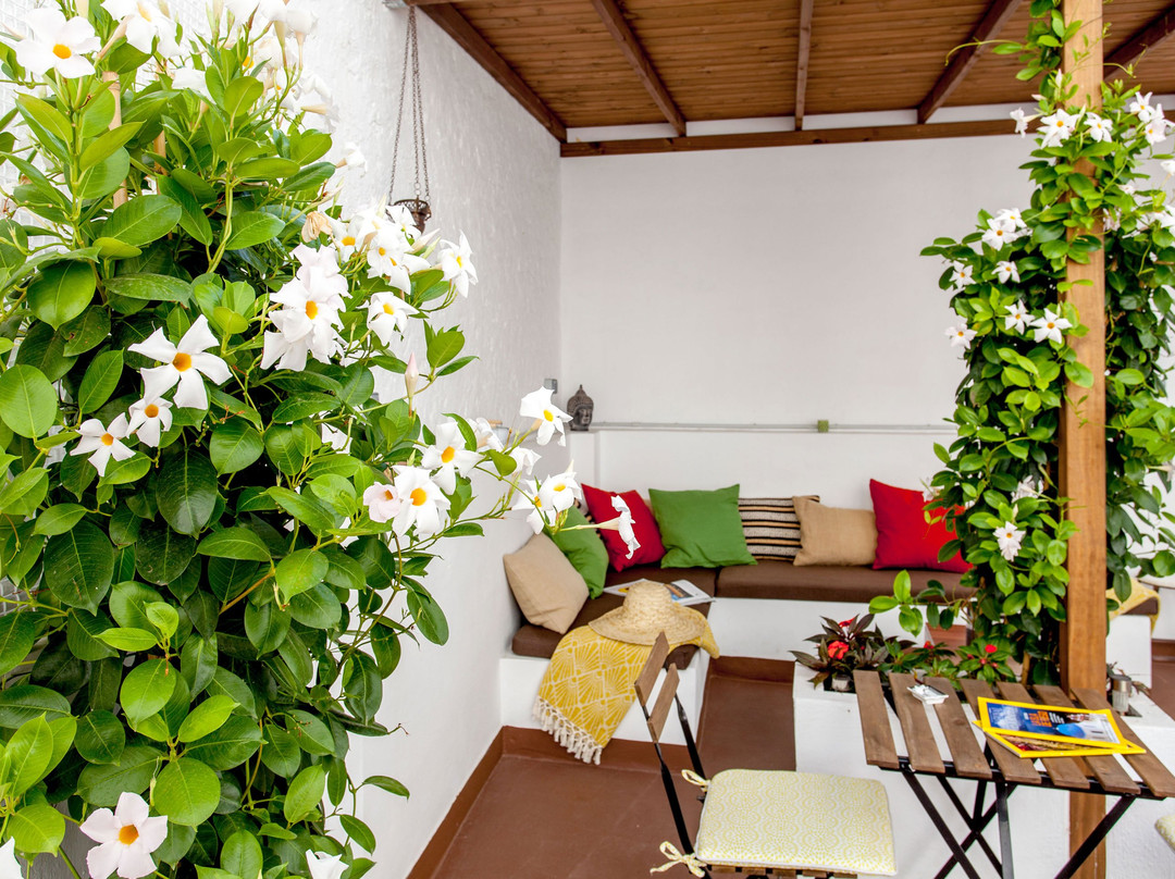 City Garden Bed and Breakfast主图