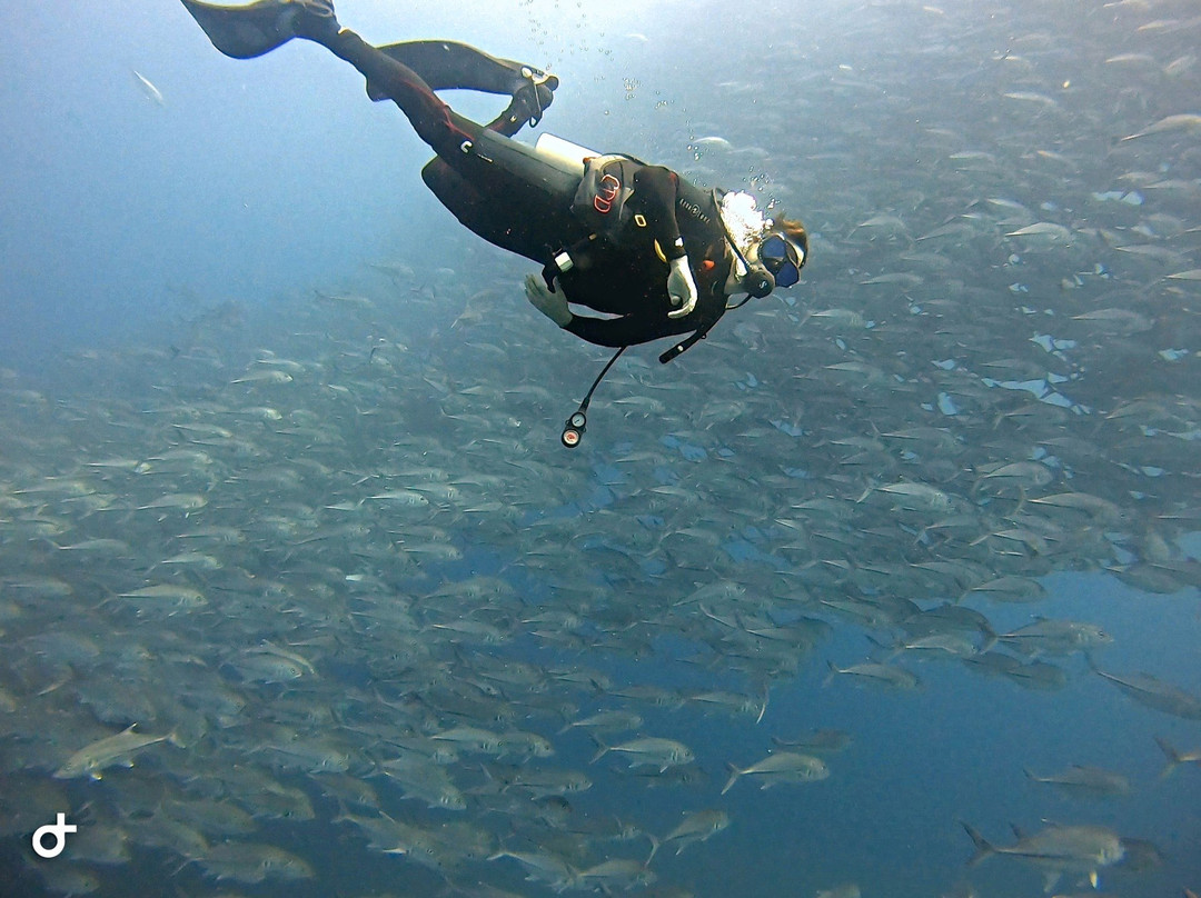 Freediving Cabo Pulmo-Cabo Pulmo必去景点