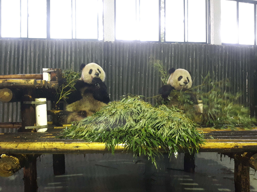 上海动物园景点图片