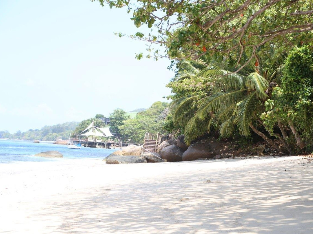 Anse Bois de Rose旅游攻略图片