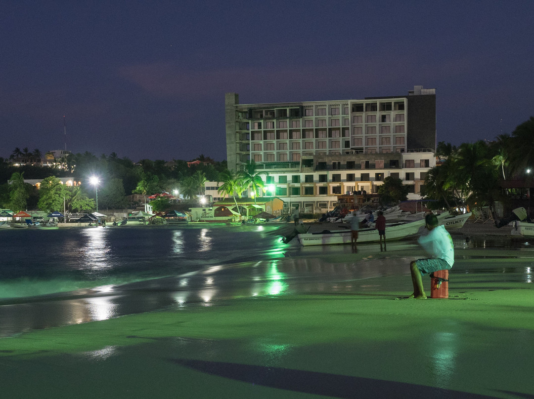 Playa Principal de Puerto Escondido-埃斯孔迪多港必去景点