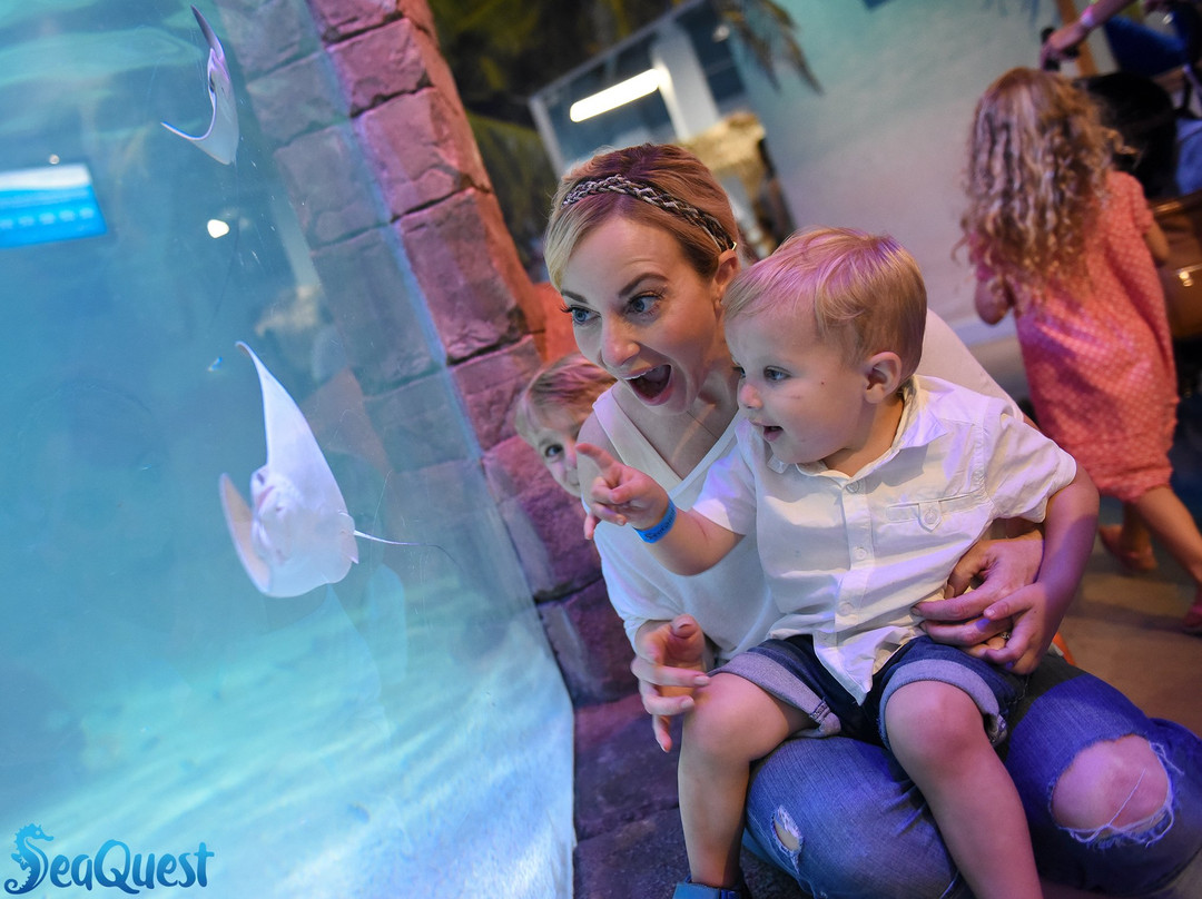 NorCal Aquarium & Wildlife-佛森必去景点