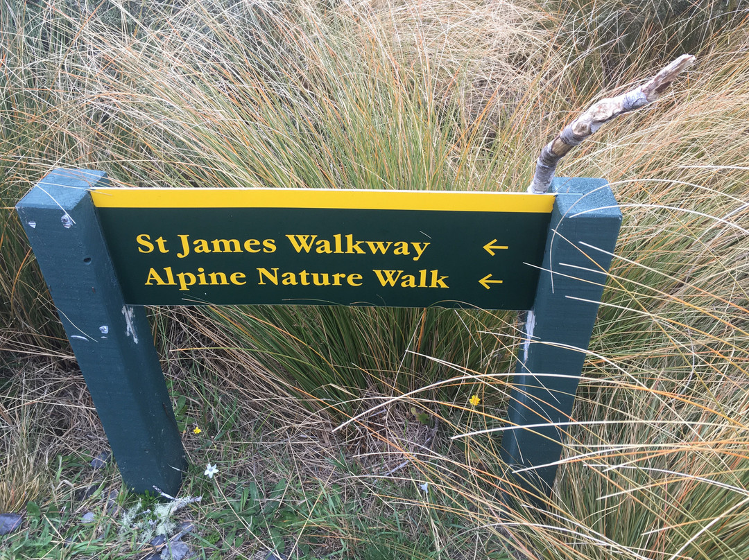 Alpine Nature Walk景点图片