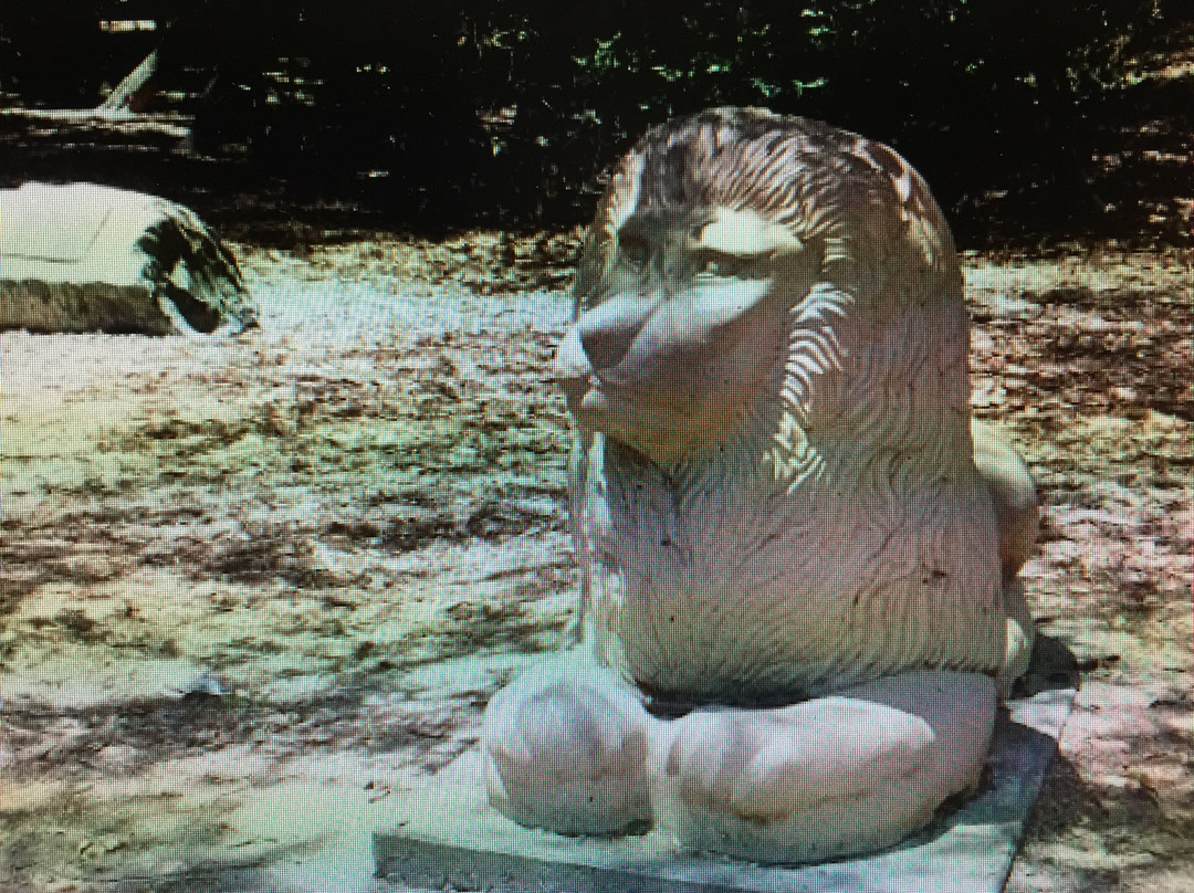 Twin Pines Park-贝尔蒙特必去景点