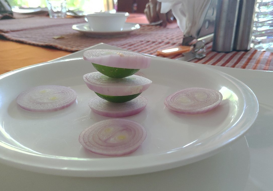 Wonderland Resort主图